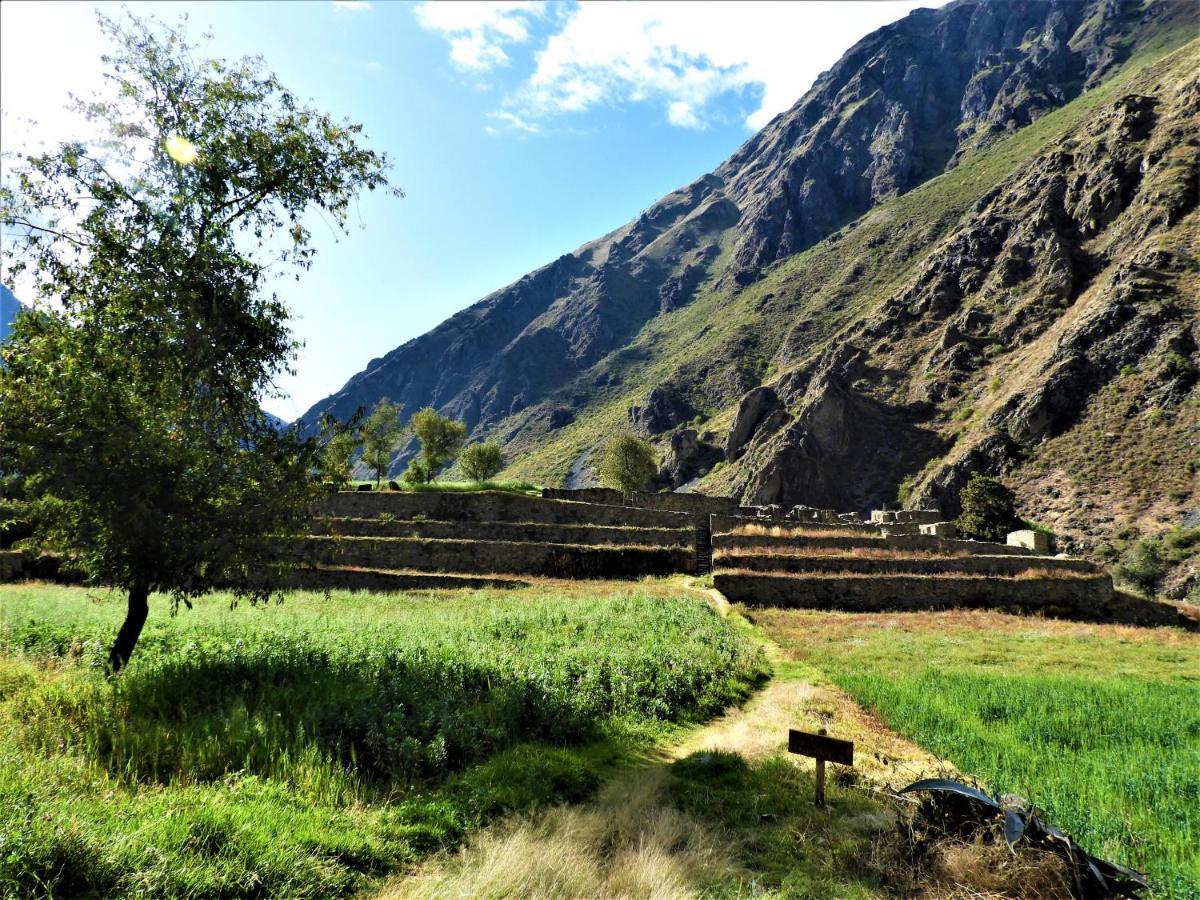 Ayllu B&B Ollantaytambo Exterior foto